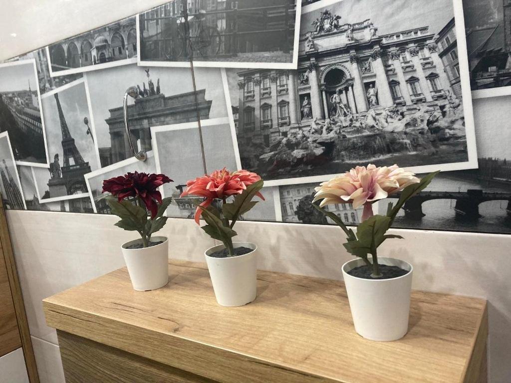 Apartament Tuz Za Rogiem Zamku Malbork Bagian luar foto